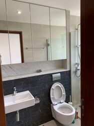 The Shelford (D11), Condominium #529257221
